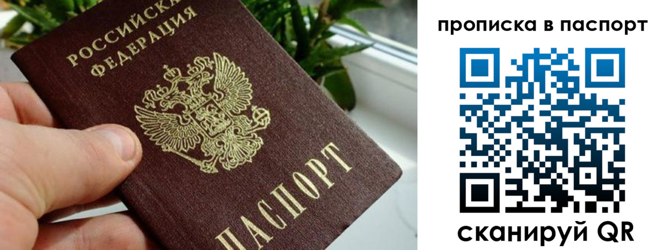временная регистрация поиск в Касимове